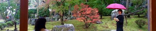 IMG_4567 (1) IMG_4567 (1)